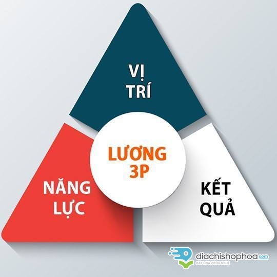 Tại sao hệ thống lương 3P lại được ưa chuộng trong quản lý nhân sự?