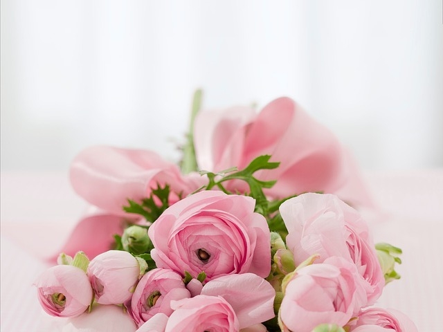Hoa hồng phấn là tượng trưng cho tình yêu, sự trân trọng và đẳng cấp. Không những thế, nó còn mang ý nghĩa tinh tế trong từng bông hoa. Hãy cùng tìm hiểu ý nghĩa của từng kiểu hoa hồng phấn để trân trọng hơn nữa.