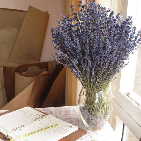 bi quyet cam hoa lavender dep va duyen dang nhat