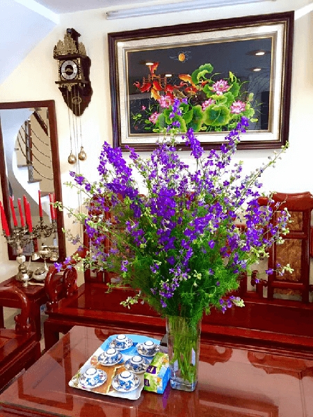 cach cam hoa violet dep doc dao va tuoi lau