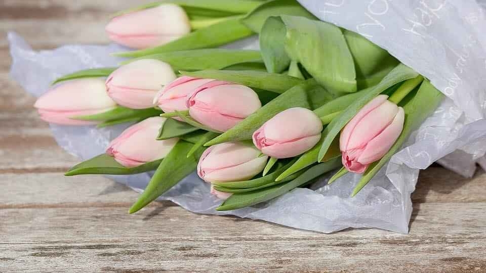 top 10 shop ban hoa dep quang tri