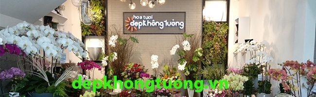 top 10 shop ban hoa dep tai da nang