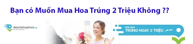 top 10 shop ban hoa dep tai da nang