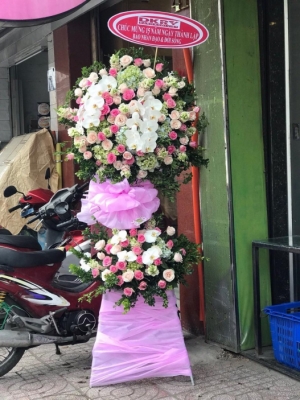 hoa van su thong hanh