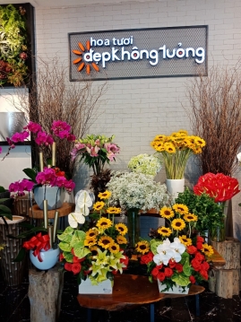 dep khong tuong