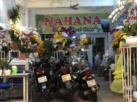 hoa tuoi ha na da nang