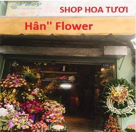 hoa tuoi han ??s flower