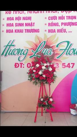 hoa tuoi huong lua