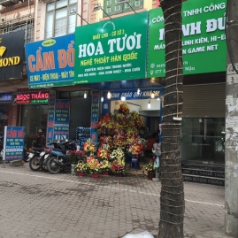 hoa tuoi tai cau dien ha noi