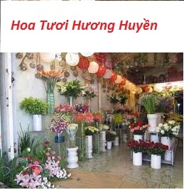 shop hoa thanh tung