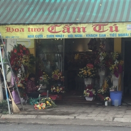 shop hoa cam tu