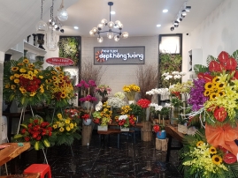 shop hoa dep khong tuong ninh thuan