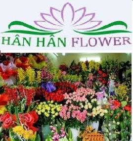 shop hoa han han tra vinh