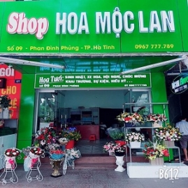 shop hoa moc lan ha tinh