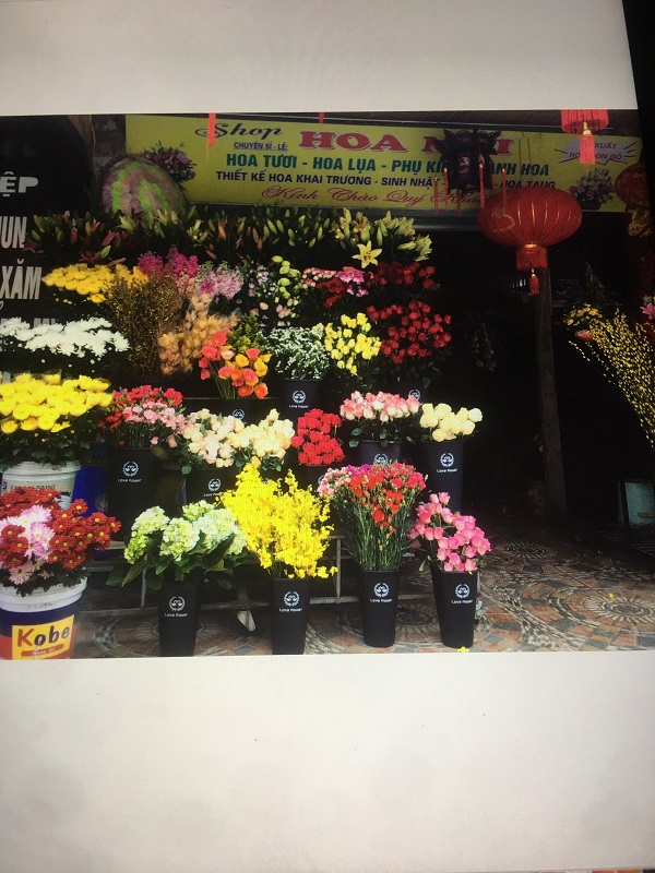 Shop hoa Đức Thọ Hà Tĩnh