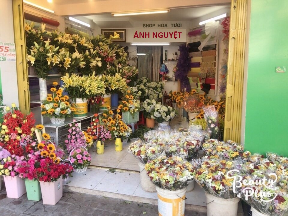 Shop Hoa Tươi Ánh Nguyệt