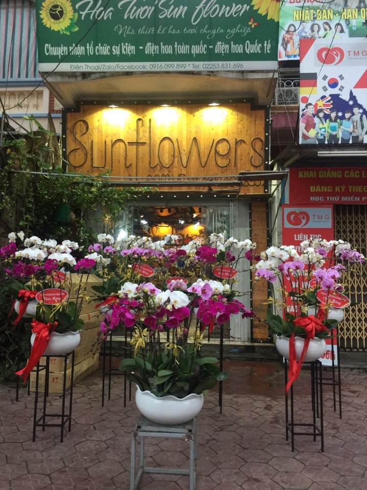 shop hoa tươi Điện Biên
