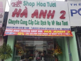 shop hoa ha anh