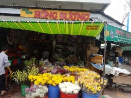 shop hoa tuoi thai binh