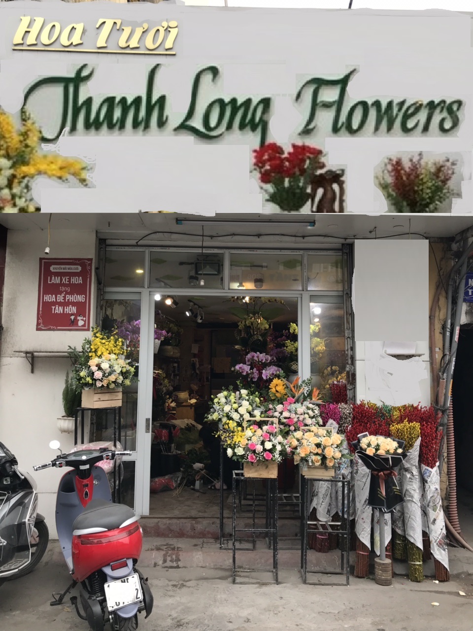 Thanh Long Flower Quảng Ngãi